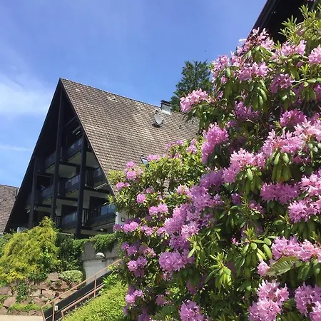 Panorama Point Sasbachwalden